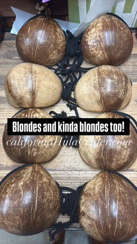 Regular Adult Sized Blonde Coconut Bra