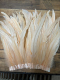 Rooster Tail Feathers 10-12” Spaced Apart