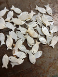 White Mother of Pearl FISH Shell 1” (5)