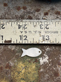 White Mother of Pearl FISH Shell 1” (5)