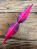 Bird of Paradise Leaves - 100 pack