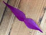 Bird of Paradise Leaves - 100 pack
