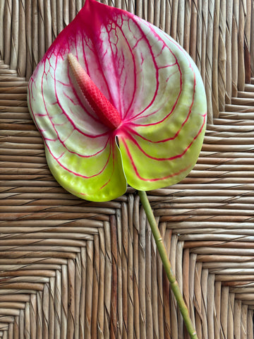 anthurium pink artificial Anthurium Real Touch Flower Stem – California Hula Center