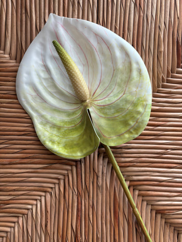 anthurium flower cut out Anthurium Real Touch Flower Stem – California Hula Center