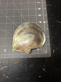 Natural Polished Mother Of Pearl Shell