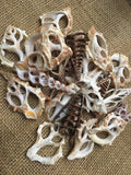 Cut Shells