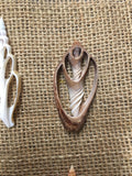 Cut Shells