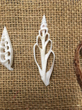 Cut Shells