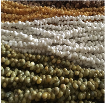 Shell Strand- Mongo Shell Lei