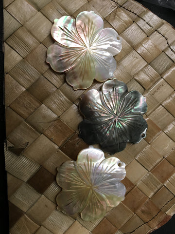 Mother of Pearl Blacklip Hibiscus Shell