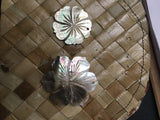 Mother of Pearl Blacklip Hibiscus Shell