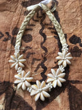 Cowry and Mongo Shell Short Necklace