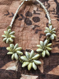 Cowry and Mongo Shell Short Necklace
