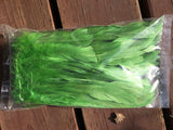 Rooster Tail Feathers 7-10" long
