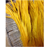 Rooster Tail Feathers 11-14" long