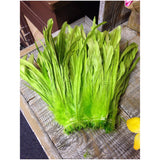 Rooster Tail Feathers 11-14" long
