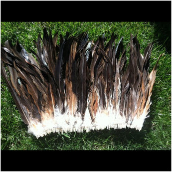Rooster Tail Feathers 7-10" long Natural Brown