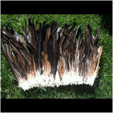 Rooster Tail Feathers 7-10" long Natural Colors