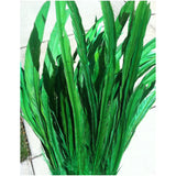 Rooster Tail Feathers 11-14" long