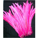 Rooster Tail Feathers 11-14" long