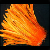 Rooster Tail Feathers 11-14" long