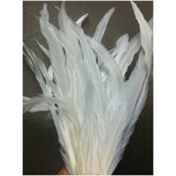 WHITE Rooster Tail Feathers 25 pack 9-12" long