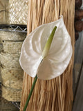 Real Touch Anthurium Flower Pick