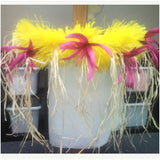 Cook Island Hau and Feather Hip Hei