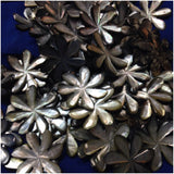 Mother of Pearl Tiare Flower Shell