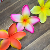 Big Foam Plumeria Hair Pick- Pink Edge