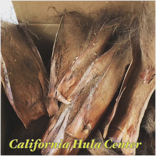 coconut palm fiber Coconut Fiber Bark- Natural