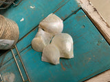 Mother of Pearl Natural White Pearl Rough Shell