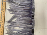 Rooster Tail Feathers 10-12” Spaced Apart
