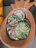 Paua Abalone Shell Circles
