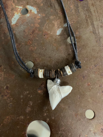 CLEARANCE Shark Tooth Necklace