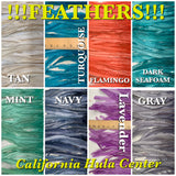 Rooster Tail Feathers 10-12” Spaced Apart