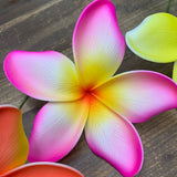 Big Foam Plumeria Hair Pick- Pink Edge