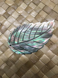 Mother of Pearl Blacklip Large Leaf Shell