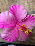 Foam Hibiscus 4.5” Hair Pick- Fuschia
