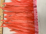 Rooster Tail Feathers 10-12” Spaced Apart
