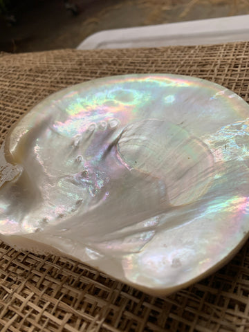 Mother of Pearl Natural 2nd Quality Rough Shell