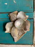 Mother of Pearl Natural Pearl Rough Shell