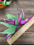 Bird of Paradise Giant Hair Clip- Purple/Green