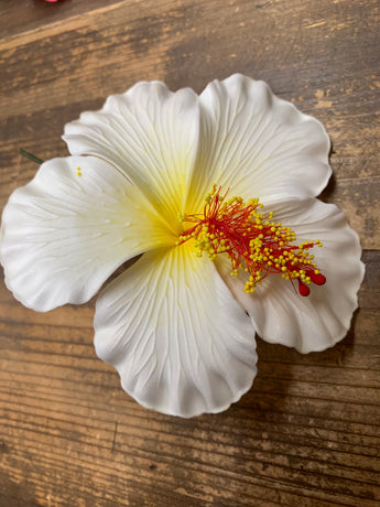 Foam Hibiscus 4.5” Hair Pick- White