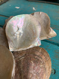 Mother of Pearl Natural 2nd Quality Rough Shell