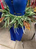 Ti Leaf/Croton Leaf Hip Hei