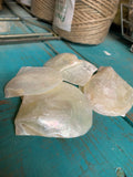 Mother of Pearl Natural White Pearl Rough Shell