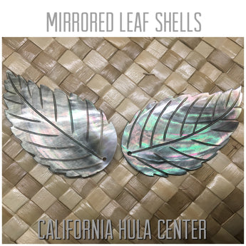Mother of Pearl Blacklip Large Leaf Shell