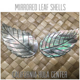 Mother of Pearl Blacklip Large Leaf Shell