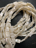 White Mother of Pearl Shell Strand